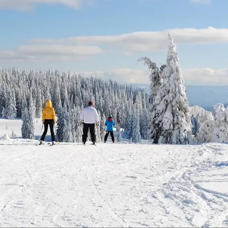 костадинов 2 Apartament