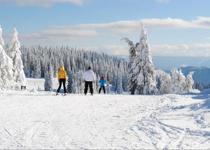 костадинов 2 Apartament